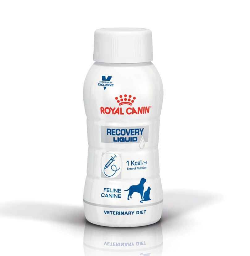 Royal Canin Veterinary Recovery Liquid 200 ml – visokokalorična tekuća hrana za oporavak pasa i mačaka