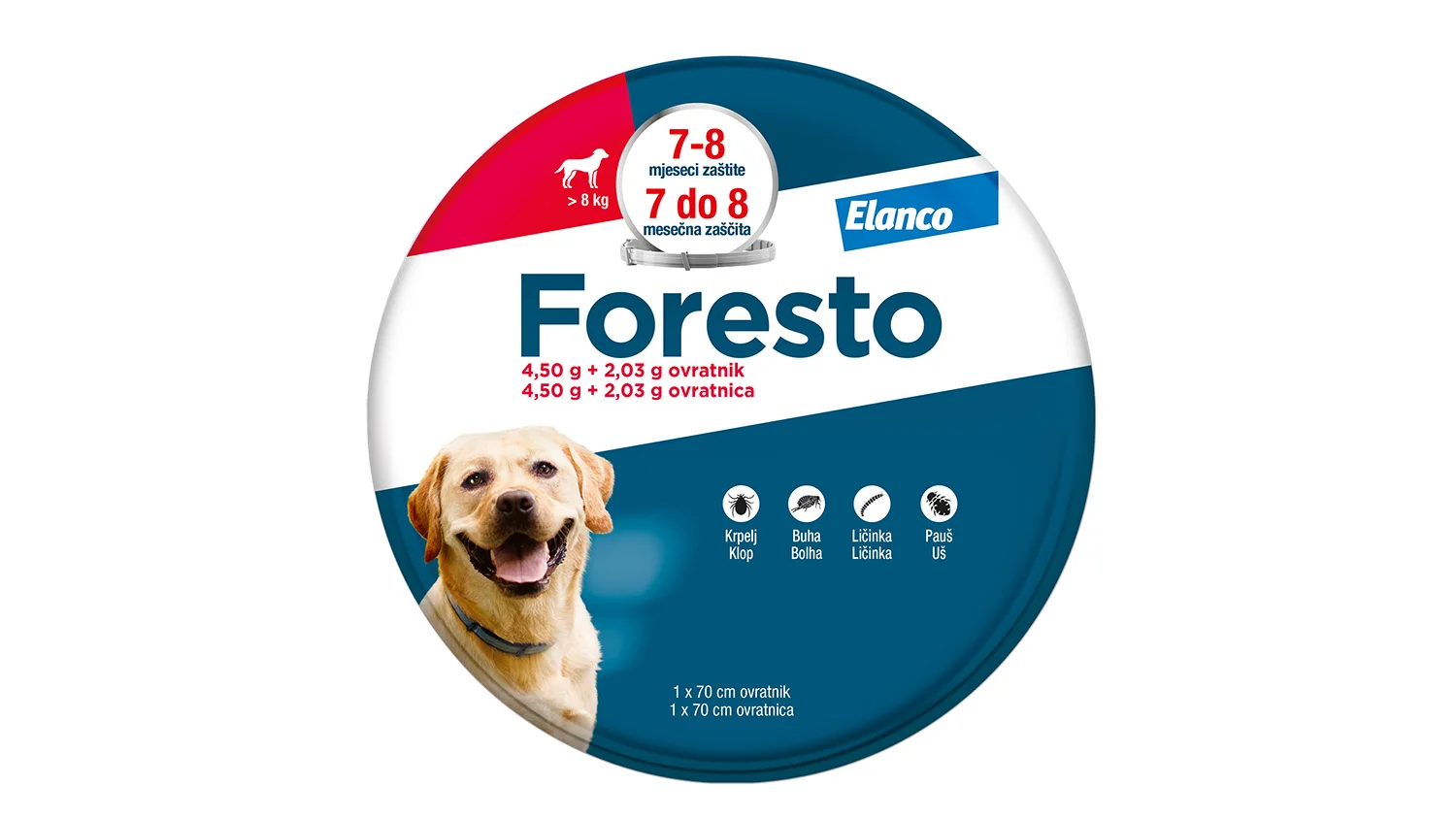 Foresto veliki psi